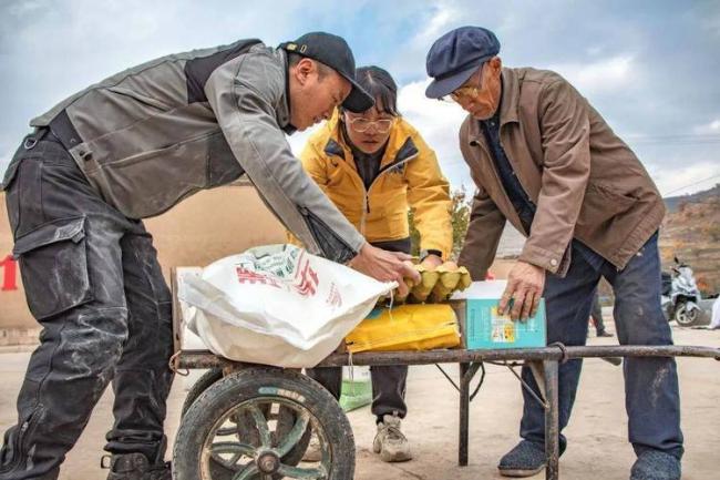 四川小伙赴内蒙捡土豆 工资到账他当场看呆